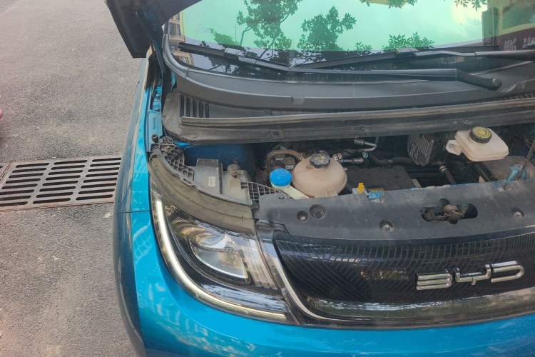 Used BYD Dolphin 2021 401km Knight Edition Engine Bay Right
