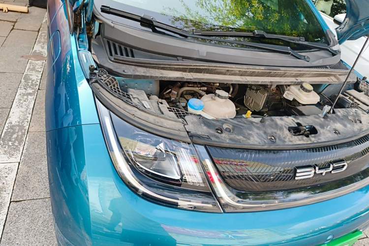Used BYD Dolphin 2021 405 km Fashion Edition Engine Bay Right