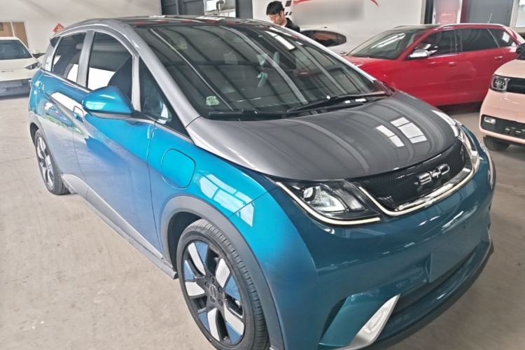 Used BYD Dolphin 2021 401km Knight Edition Exterior 1