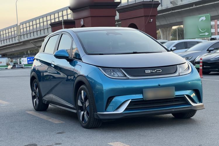 Used BYD Dolphin 2021 401km Knight Edition Exterior 2