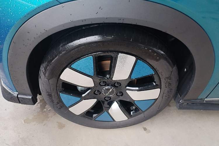Used BYD Dolphin 2021 401km Knight Edition Exterior 4