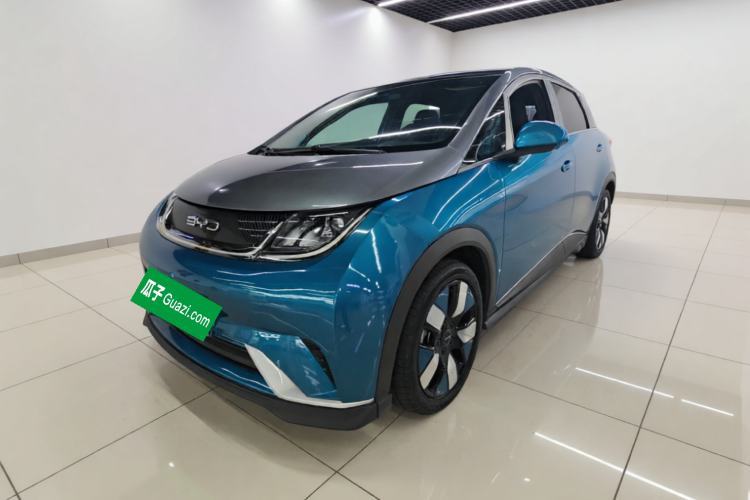 BYD Dolphin 2021 401km Knight Edition de segunda mano Guazi used car, China used car export, Used car for sale, Used  cars, Cheapest cars for sale