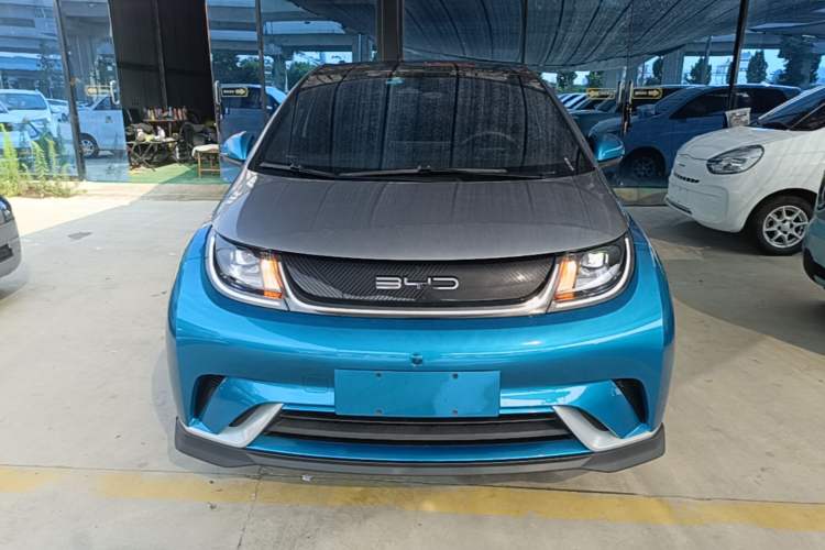 Used BYD Dolphin 2021 401km Knight Edition Front