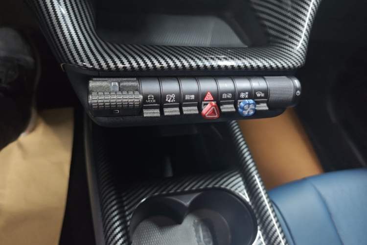 Used BYD Dolphin 2021 401km Knight Edition Gear Lever