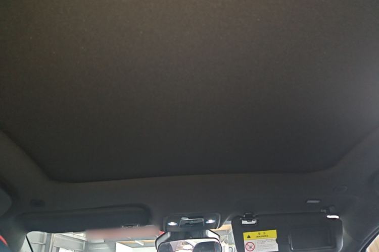 Used BYD Dolphin 2021 401km Knight Edition Headliner