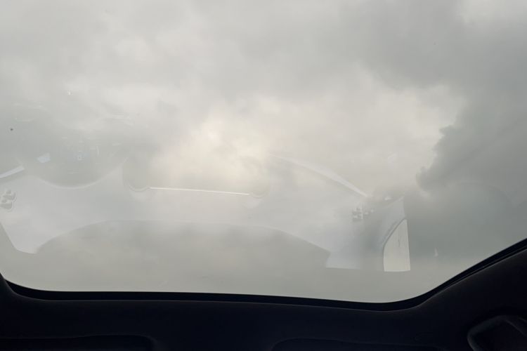 Used BYD Dolphin 2021 405 km Fashion Edition Headliner