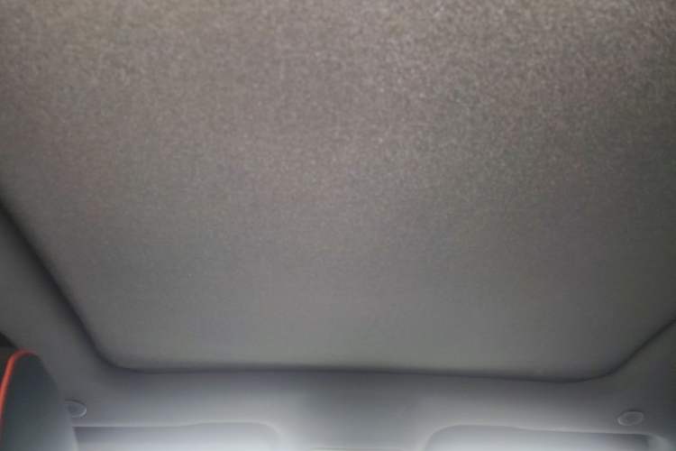 Used BYD Dolphin 2021 405 km Free Version Headliner