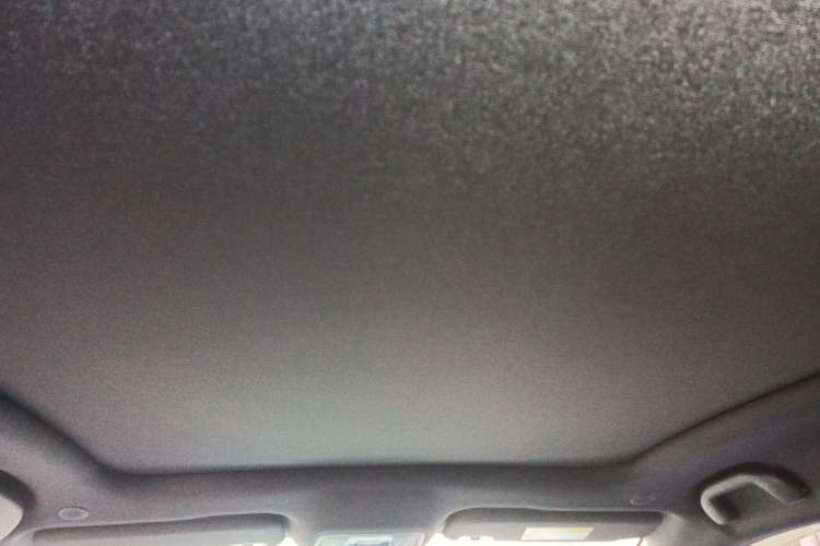Used BYD Dolphin 2021 401km Knight Edition Headliner