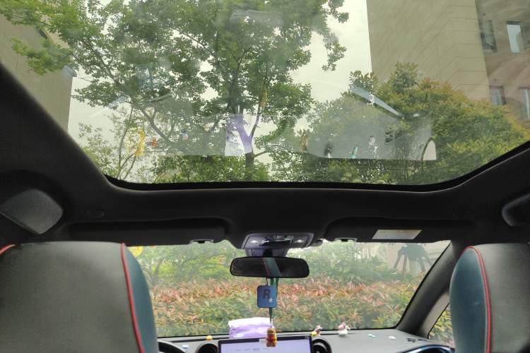 Used BYD Dolphin 2021 405 km Fashion Edition Headliner