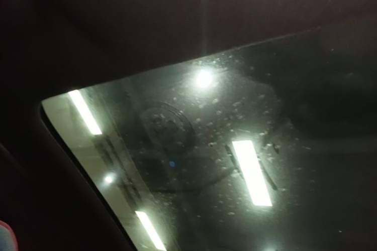 Used BYD Dolphin 2021 405 km Fashion Edition Headliner