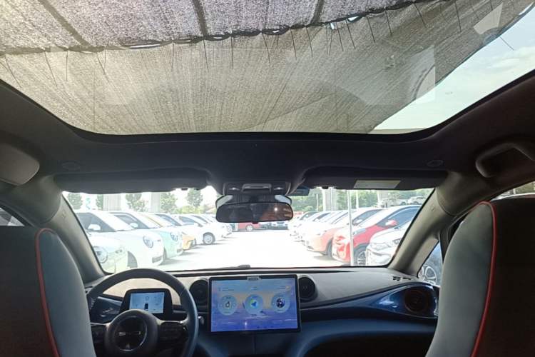 Used BYD Dolphin 2021 401km Knight Edition Headliner