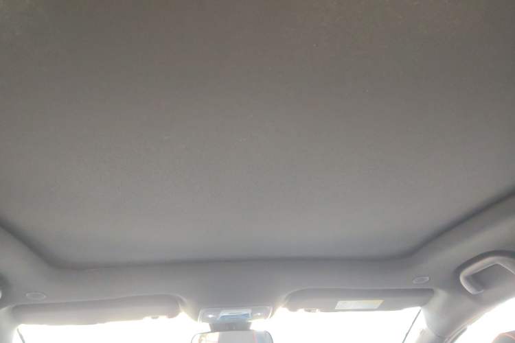 Used BYD Dolphin 2021 405 km Fashion Edition Headliner