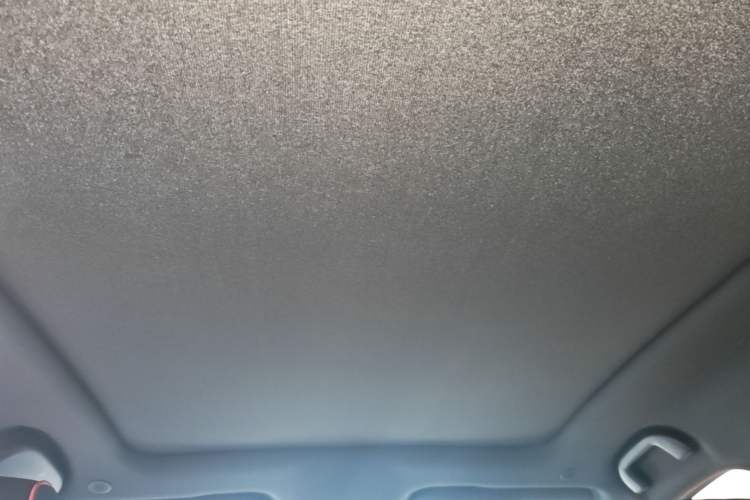 Used BYD Dolphin 2021 405 km Fashion Edition Headliner
