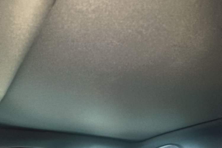 Used BYD Dolphin 2021 401km Knight Edition Headliner
