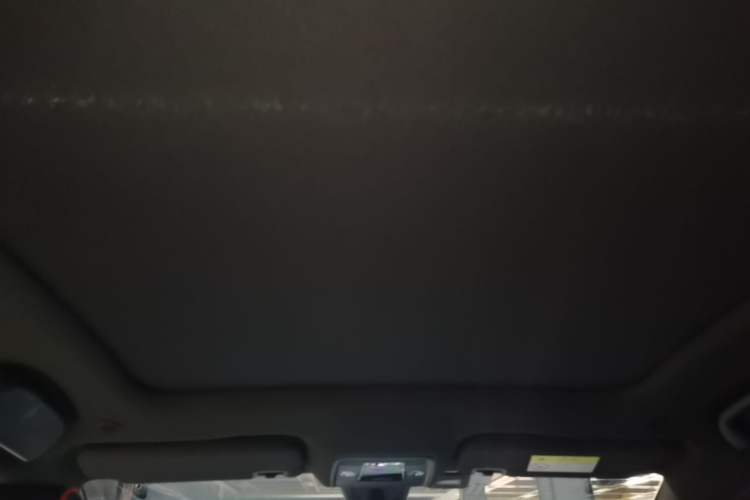 Used BYD Dolphin 2021 405 km Fashion Edition Headliner