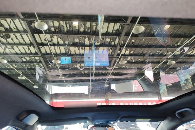 Used BYD Dolphin 2021 401km Knight Edition Headliner