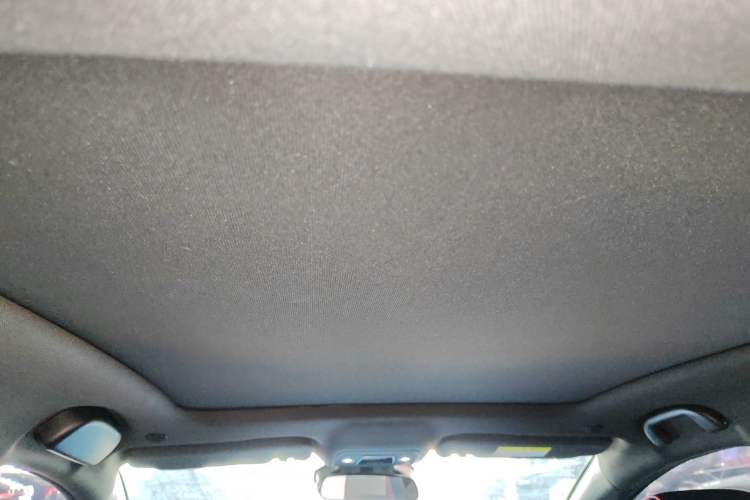 Used BYD Dolphin 2021 401km Knight Edition Headliner