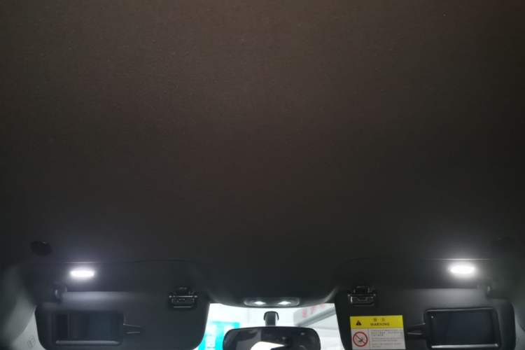 Used BYD Dolphin 2021 405 km Free Version Headliner