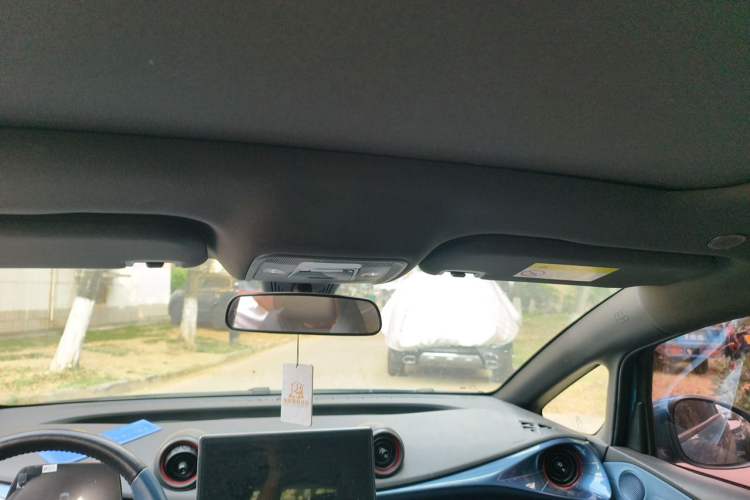 Used BYD Dolphin 2021 405 km Fashion Edition Headliner