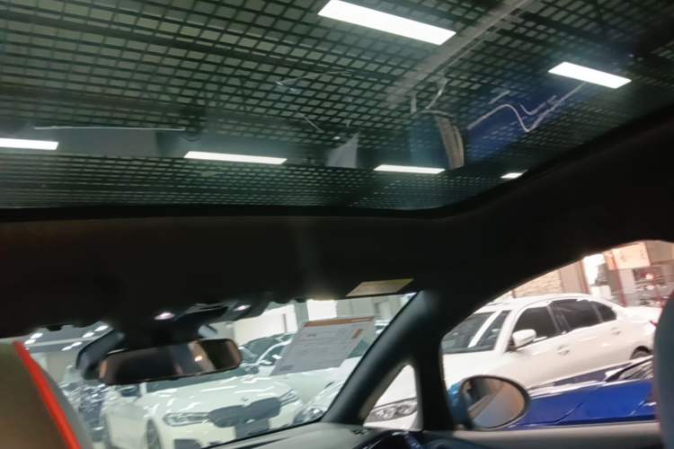 Used BYD Dolphin 2021 401km Knight Edition Headliner