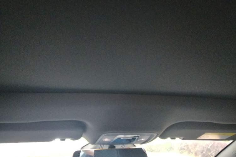 Used BYD Dolphin 2021 401km Knight Edition Headliner