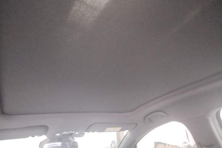 Used BYD Dolphin 2021 401km Knight Edition Headliner