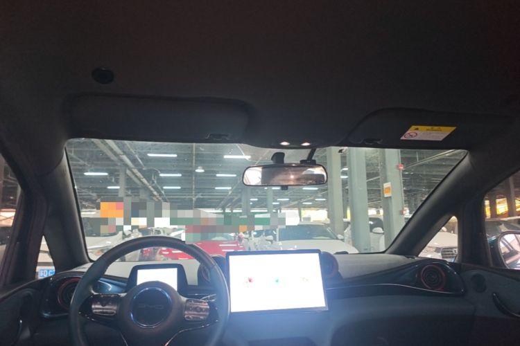 Used BYD Dolphin 2021 405 km Free Version Headliner