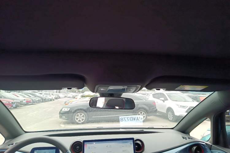 Used BYD Dolphin 2021 405 km Fashion Edition Headliner
