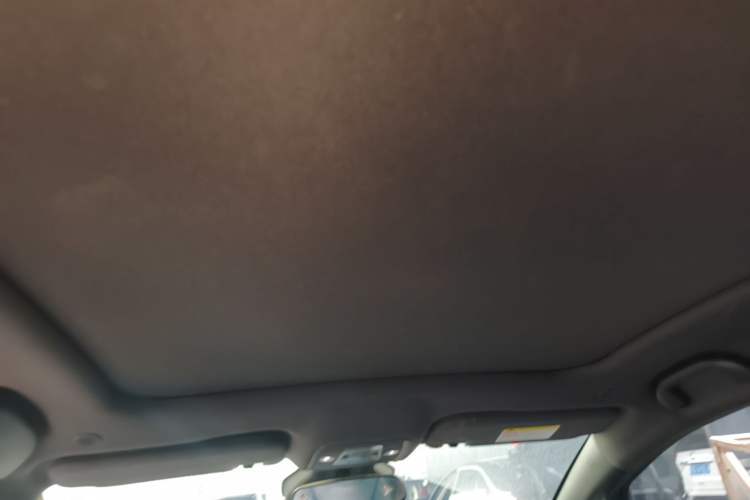 Used BYD Dolphin 2021 401km Knight Edition Headliner