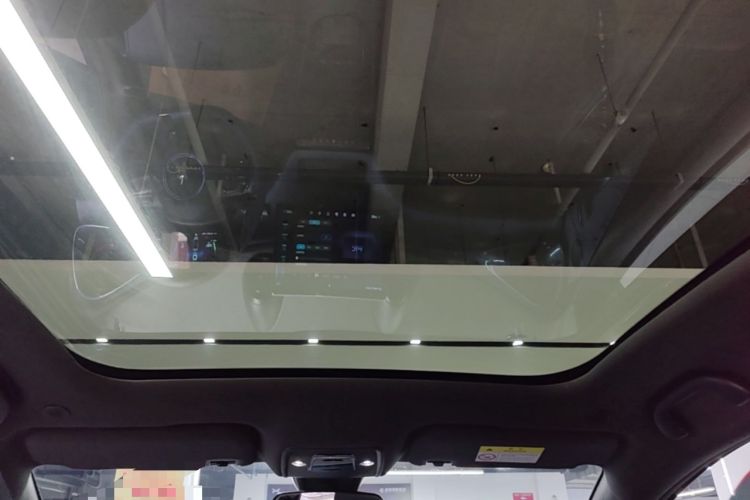 Used BYD Dolphin 2021 405 km Fashion Edition Headliner