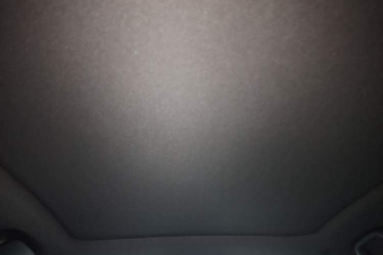 Used BYD Dolphin 2021 405 km Fashion Edition Headliner
