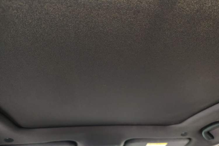 Used BYD Dolphin 2021 405 km Fashion Edition Headliner