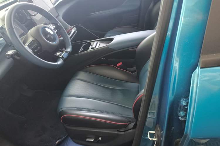 Used BYD Dolphin 2021 405 km Fashion Edition Left Front Seat
