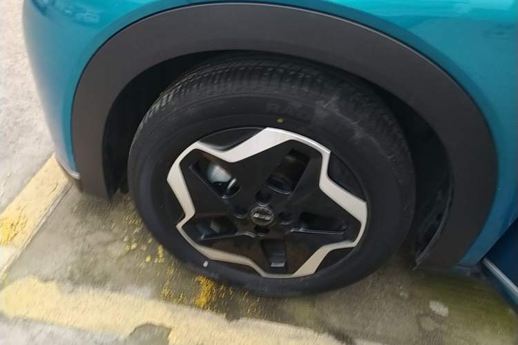 Used BYD Dolphin 2021 405 km Fashion Edition Left Front Wheel Hub