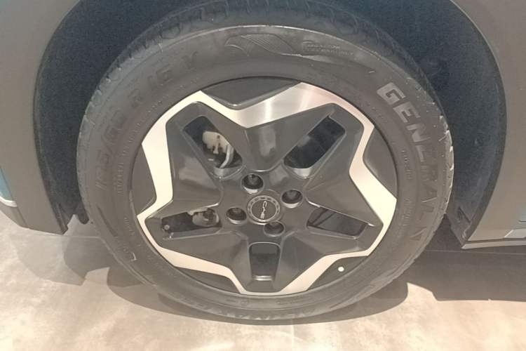 Used BYD Dolphin 2021 405 km Fashion Edition Left Front Wheel Hub