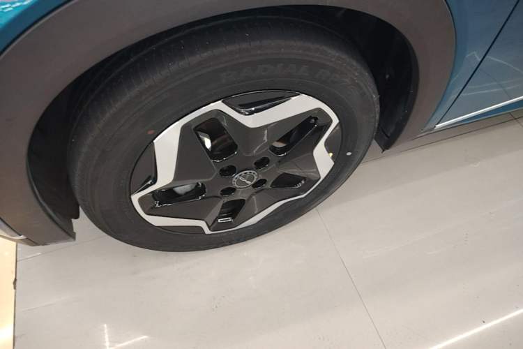 Used BYD Dolphin 2021 405 km Fashion Edition Left Front Wheel Hub