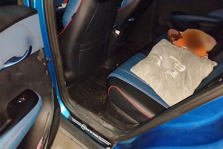 Used BYD Dolphin 2021 405 km Fashion Edition Left Rear Seat