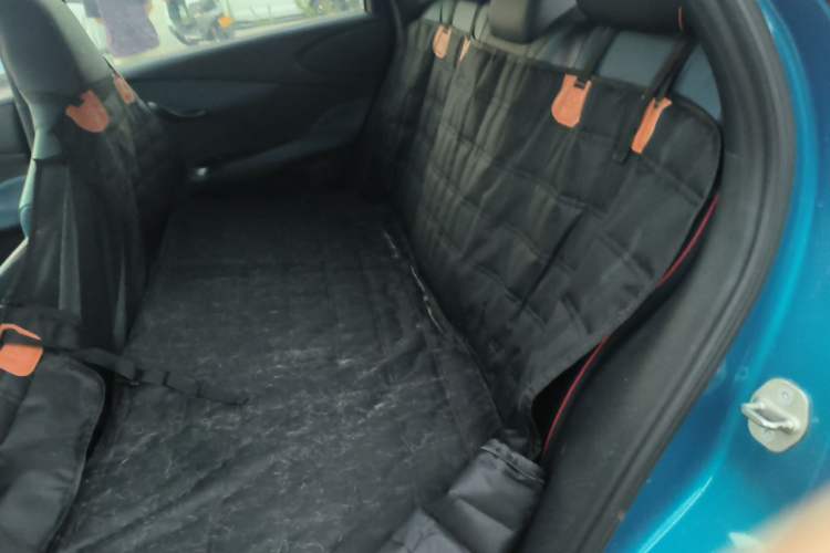 Used BYD Dolphin 2021 405 km Fashion Edition Left Rear Seat