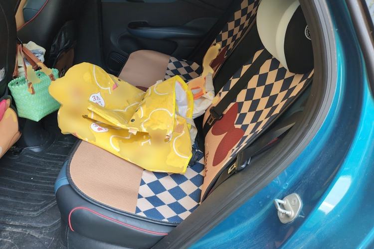 Used BYD Dolphin 2021 405 km Fashion Edition Left Rear Seat