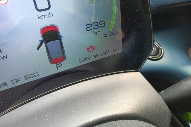 Used BYD Dolphin 2021 401km Knight Edition Odometer Close Up
