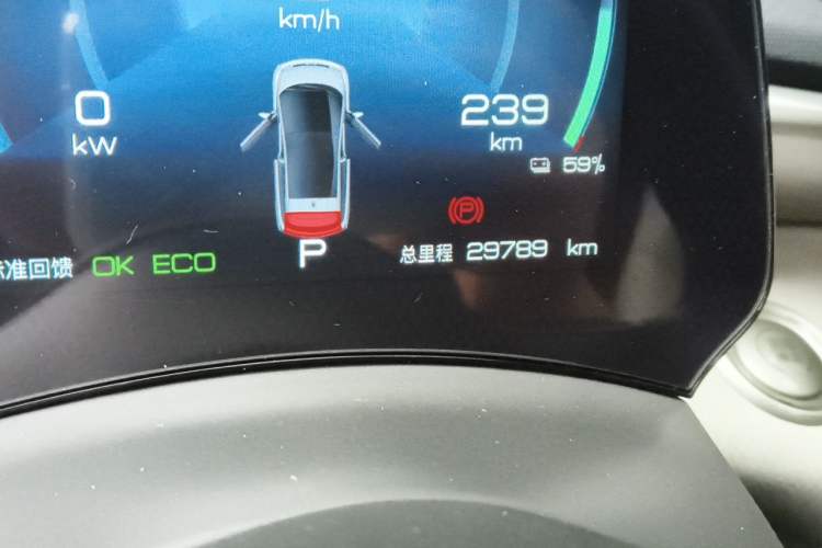 Used BYD Dolphin 2021 405 km Fashion Edition Odometer Close Up