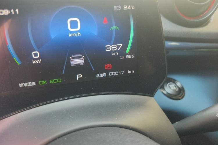 Used BYD Dolphin 2021 401km Knight Edition Odometer Close Up