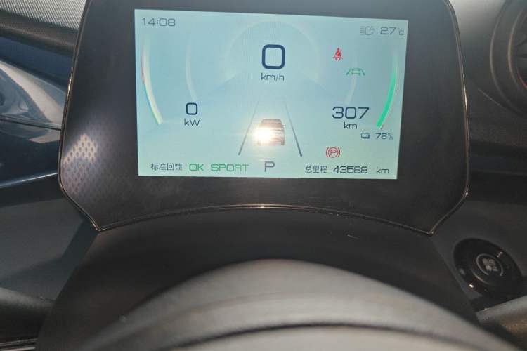 Used BYD Dolphin 2021 401km Knight Edition Odometer Close Up