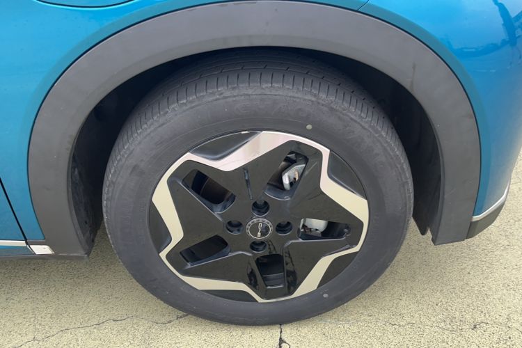 Used BYD Dolphin 2021 405 km Fashion Edition Rear