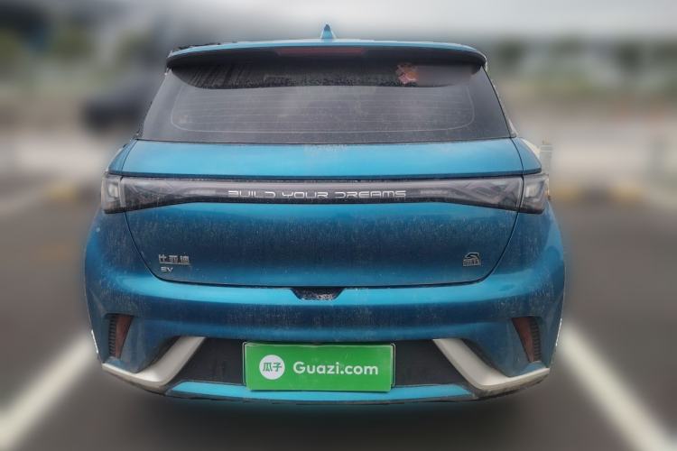 Used BYD Dolphin 2021 405 km Free Version Rear