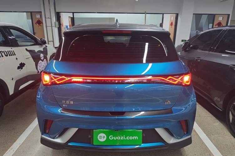 Used BYD Dolphin 2021 401km Knight Edition Rear