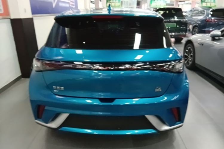 Used BYD Dolphin 2021 405 km Fashion Edition Rear