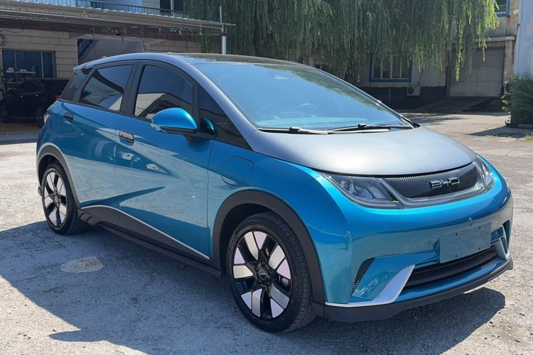 Used BYD Dolphin 2021 401km Knight Edition Rear