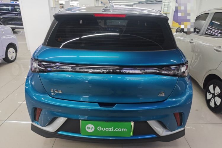 Used BYD Dolphin 2021 401km Knight Edition Rear
