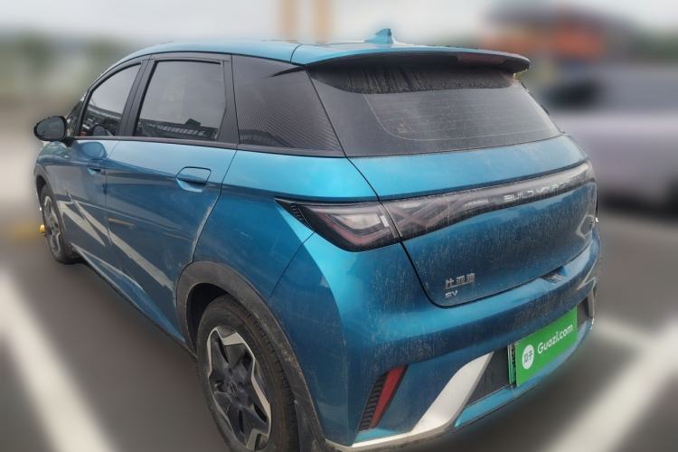 Used BYD Dolphin 2021 405 km Free Version Rear Left 45 Deg